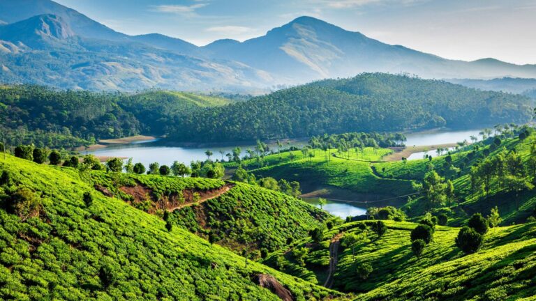 tea-estates-munnar-kerala-india-1919x1080